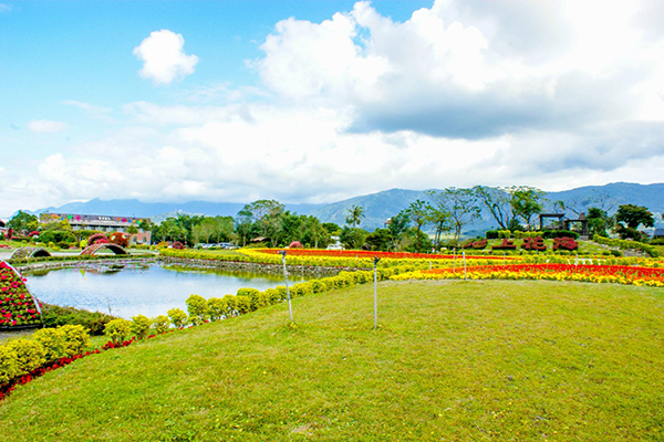 池上鄉農會四季花海 (圖片來源／花東縱谷國家風景區管理處)