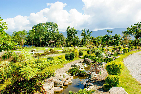 池上鄉農會四季花海，充滿詩意的山水造景 (圖片來源／花東縱谷國家風景區管理處)