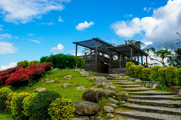 池上鄉農會四季花海，登高踏上涼亭，還可以眺望花海全景與綿延遼闊的山脈 (圖片來源／花東縱谷國家風景區管理處)