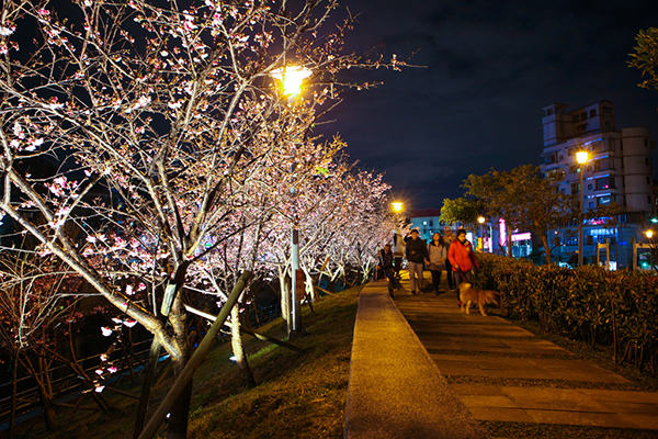 樂活公園夜晚點燈時間為晚間6點至10點 (圖片來源／台北市政府)