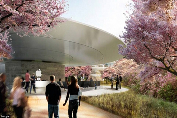 Apple Park甚至建築物內部分面積是以草皮替代瀝青，十分符合蘋果環保節能的自我標準 (圖片來源／Apple)