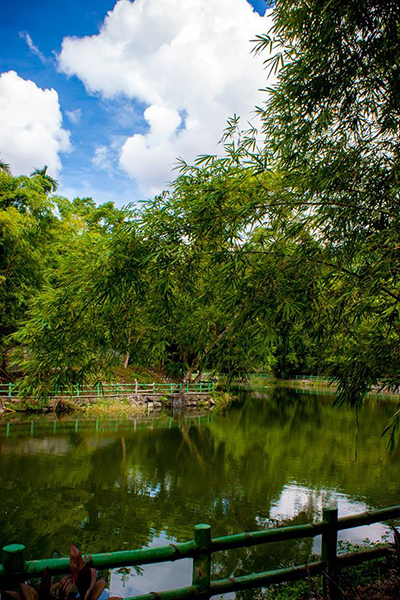 鱸鰻潭 (圖片來源／花東縱谷國家風景區管理處)