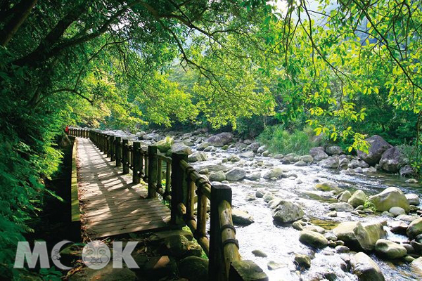 南庄蓬萊溪生態園區，著名的賞魚步道全長約1.6公里，在當地居民保育下，溪水清澈，可以看到號稱「水中的螢火蟲」的臺灣鏟頷魚
。（圖片提供／育達科技大學）