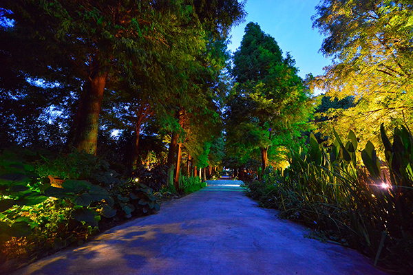 菁芳園以完成農業轉型和維護永續農業為願景 (圖片來源／菁芳園)