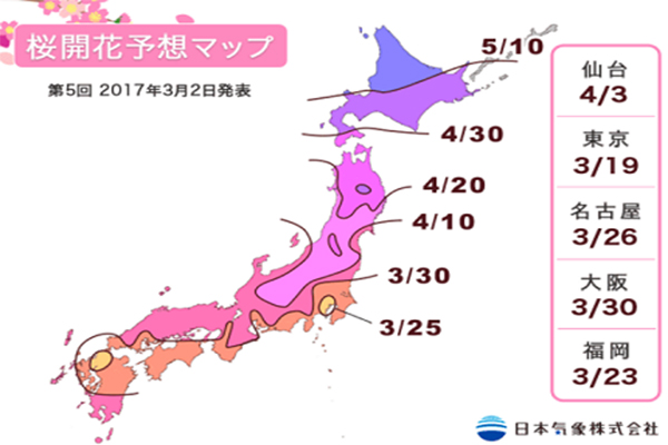 日本氣象株式会社於3月2日再次更新了2017年的櫻花開花預測 (圖片來源／日本気象株式会社)