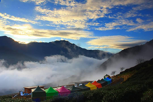 武界開心茶園露營區坐擁山谷絕景 (圖片來源／武界開心茶園露營區)