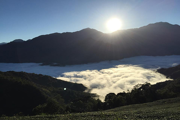 武界開心茶園露營區日出雲海 (圖片來源／武界開心茶園露營區)