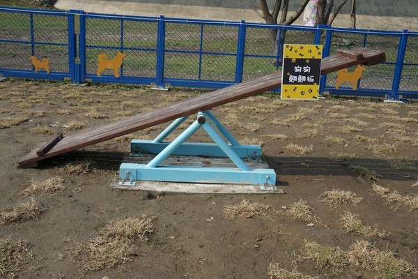 頭前溪寵物運動公園翹翹板 (圖片來源／新竹縣政府)