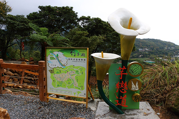 竹子湖海芋季芋戀道 (圖片來源／交通部觀光局)