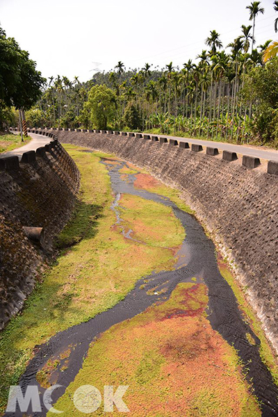 仁義潭水庫排水道驚奇美景 (攝影／馬力亞)