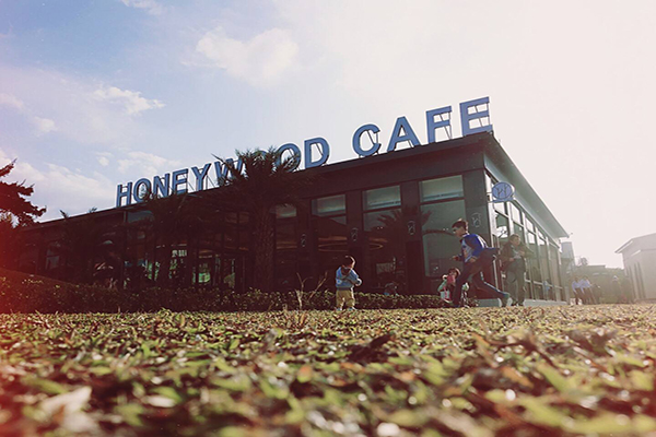 桃園新開幕的HoneyWood Cafe (圖片來源／HoneyWood Cafe)