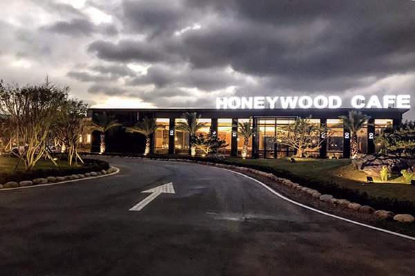 HoneyWood Cafe開幕沒多久即成為IG瘋傳的拍照新熱點 (圖片來源／HoneyWood Cafe)