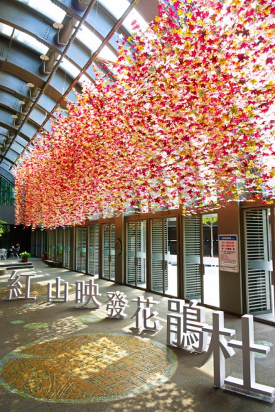 大安森林公園杜鵑花 (圖片來源／台北市政府)