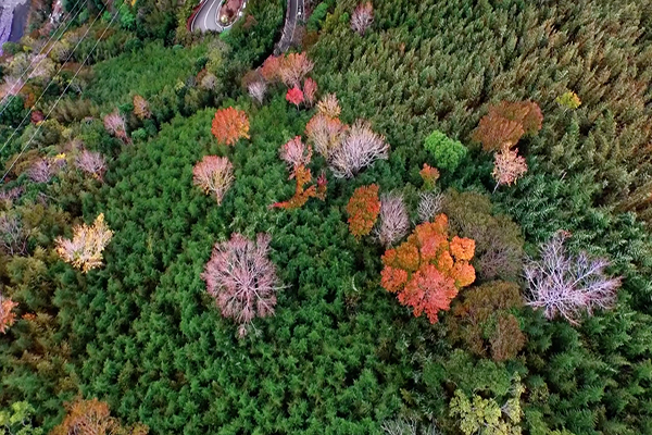 桃園市北插天山空拍攝影 (圖片來源／桃園市政府)