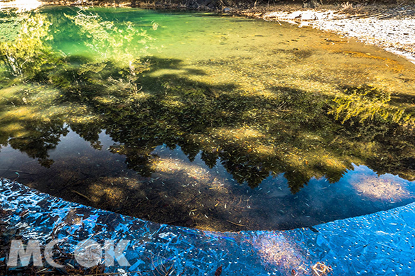 碧綠的台灣池在太陽的照射下，閃閃發光，有如一顆綠寶石 (攝影／道賢)