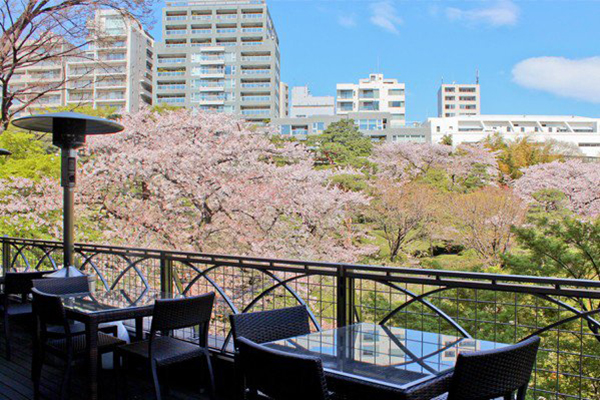 坐享美食浪漫景觀  東京七大賞櫻餐廳