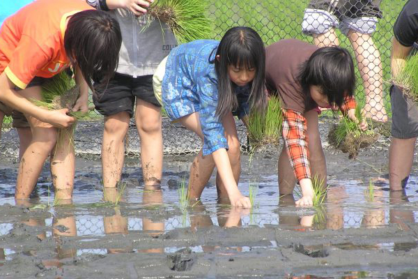 一起來種菜、播田。（圖片來源／2017宜蘭綠色博覽會）