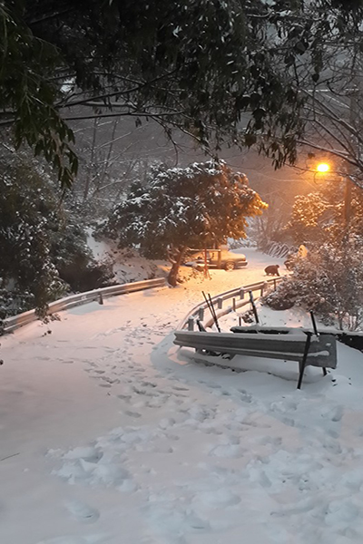 下雪時的萬里山園 (圖片來源／萬里山園)