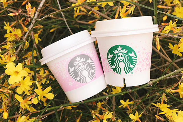 韓國櫻花風味布丁 (圖片來源／Starbucks Korea)