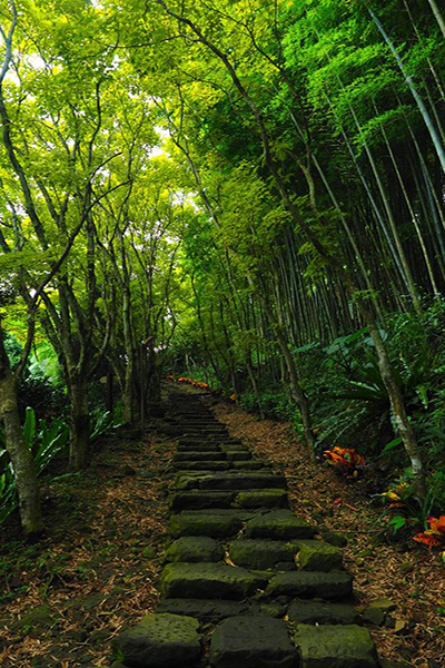 寒溪呢樹林步道 (圖片來源／寒溪呢)