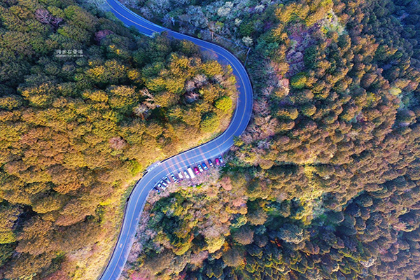 阿里山公路空拍 (圖片來源／漫步在雲端的阿里山)