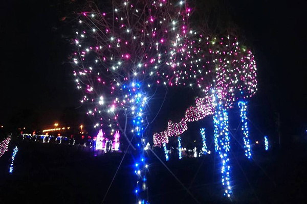 高跟鞋教堂夜間新點燈，營造夢幻氛圍 (圖片來源／雲管處)