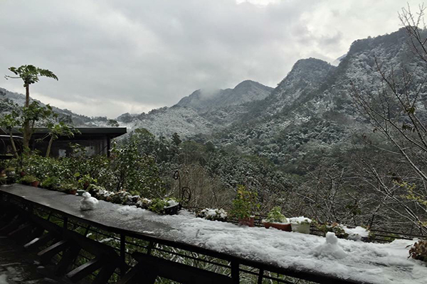 山行玫瑰 (圖片來源／山行玫瑰與山行寄野)