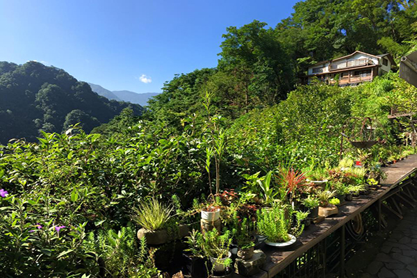 山行玫瑰 (圖片來源／山行玫瑰與山行寄野)