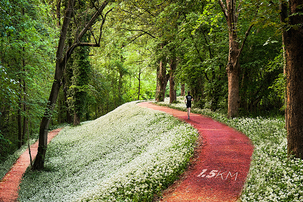 Parkorman Park土耳其漂浮森林步道公園 (圖片來源／DROR)