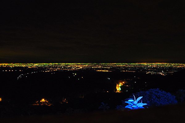 華山啡你不可咖啡廳夜景 (圖片來源／華山啡你不可咖啡廳)