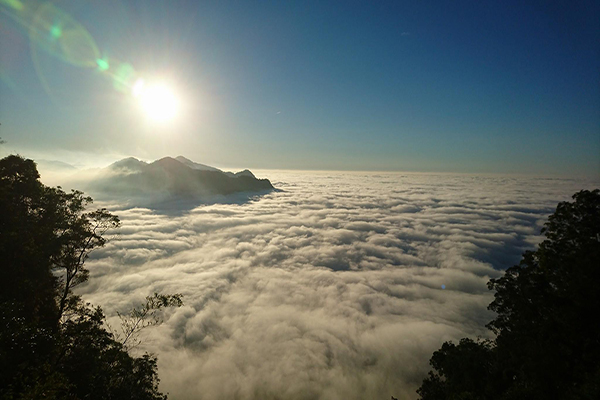 半天岩梅王露營區觀賞日出雲海 (圖片來源／半天岩梅王 親子露營區)