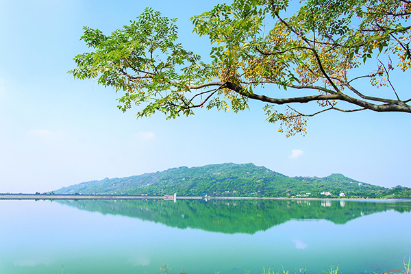 水庫秘境Ｘ都市綠肺  阿公店森林生態公園