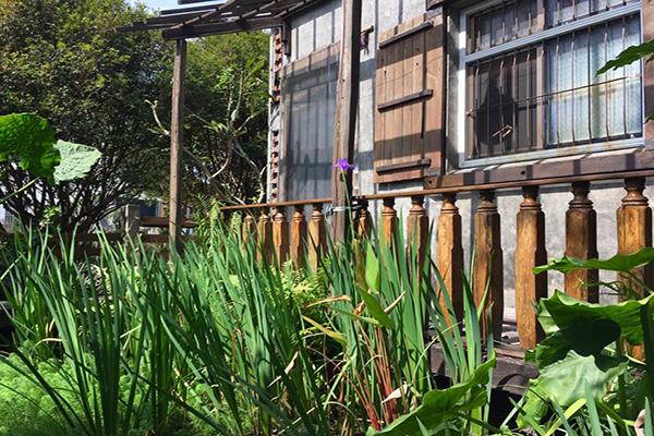 旅人小屋舒宿充滿鄉村氛圍 (圖片來源／旅人小屋舒宿 田尾鳶尾花田)