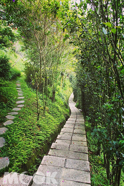 桃李河畔連結著石階森林步道 (圖片提供／kuanyuan1005)