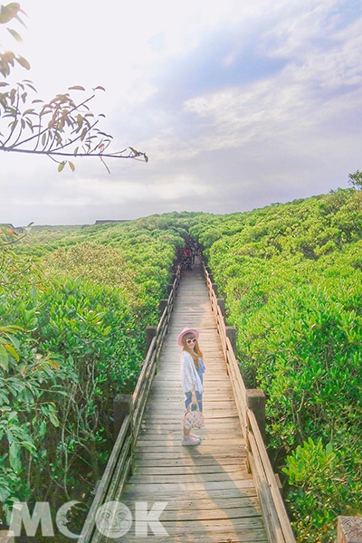 自然景觀、隧道等取景 - 新豐紅樹林生態保護區