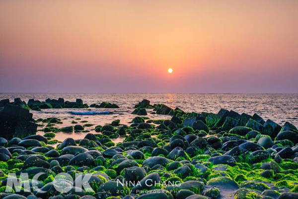 台南黃金海岸的消波塊綠藻景觀