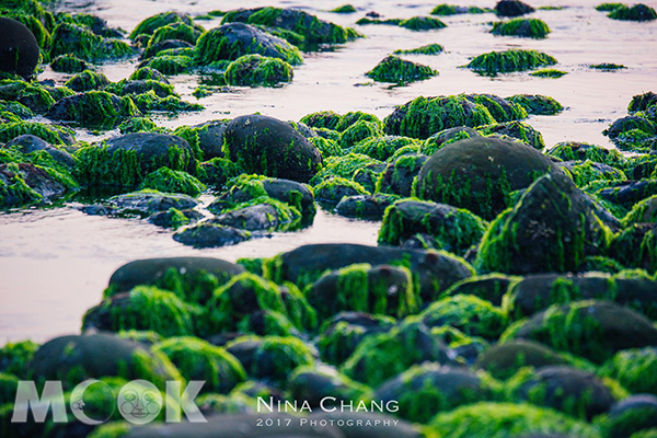 台南黃金海岸消波塊綠藻美景，媲美北海岸老梅石槽