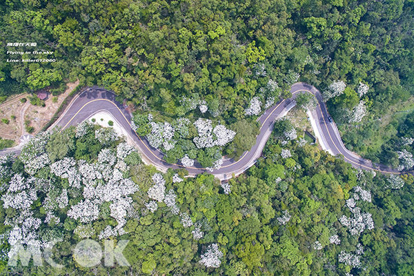 雙峰山慈惠堂蜿蜒山道