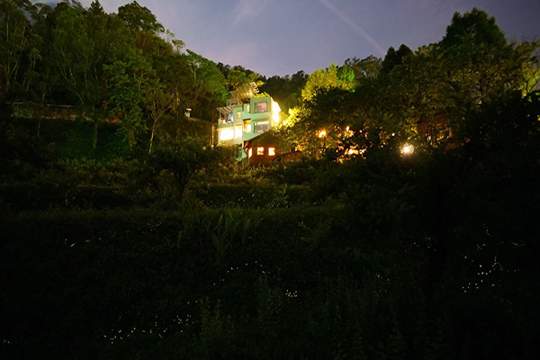 南庄懶懶樹咖啡民宿，瀰漫著療癒的氛圍，充分呈現出慢城的生活美學