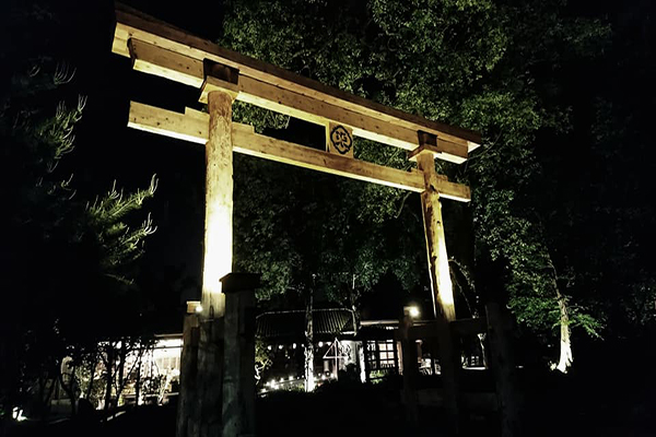 鳥居Torii夜晚的景致