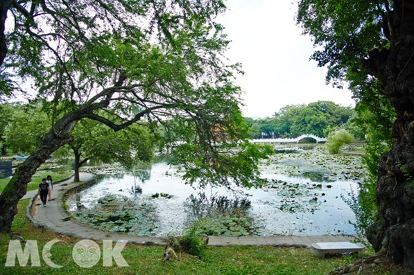 擁抱熱帶公園百年浪漫 臺南公園古蹟、生態、老樹小旅行