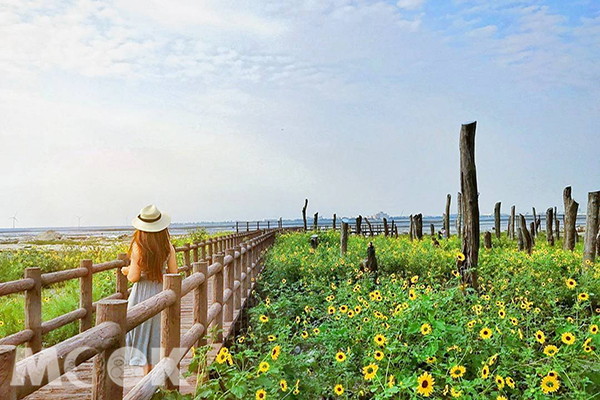 福寶濕地被譽為是中部水鳥的天堂，更結合了藝術造景與花海景致