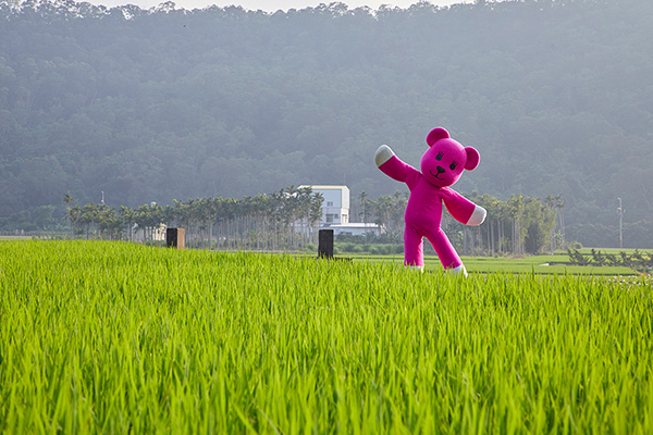 幸福感十足又淘氣的粉紅偶像MOMO熊。(圖片來源/MOMO熊特展)