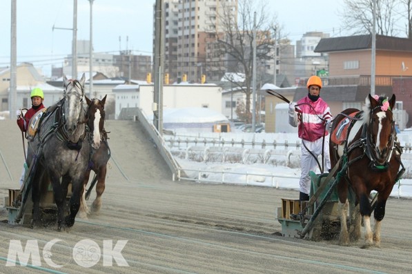 與平地賽馬相比，「輓曳賽馬」是騎師技巧更為重要的賽馬。(圖片提供／Vidol)