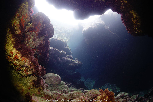 蘭嶼是世界潛水愛好者的天堂之一 (圖片來源／蘭嶼.藍海屋潛水渡假村)