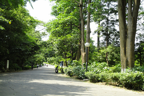 夏日消暑踏青名單  全台十大休閒林蔭步道