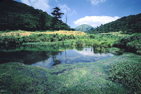 二子坪步道 (圖片來源／台北市政府)