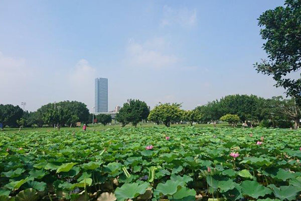 吸引不少喜好攝影的朋友前來取景。（圖片來源/新北市政府)