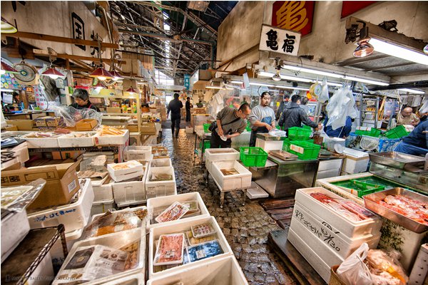 築地市場確定搬遷  打造美食新據點