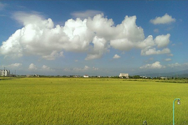 從天空島小木屋民宿上可以眺望遼闊的稻田美景 (圖片來源／礁溪 天空島上的小木屋)
